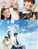 C1109完美世界/与他一起的奇迹～ Perfect World～(2018) 日本 豆瓣5.9