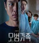 C1164-1165模范家族 2碟装 2022 Netflix高质新作犯罪悬疑剧