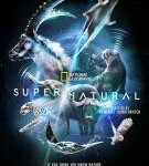 C1180-1181超/自然 2碟装 2022迪士尼最新纪录片