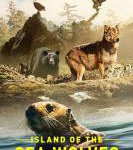 C1394海狼之岛 2022网飞最新上映动物纪录片