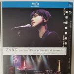 Q819坂井泉水“美妙时刻”—30周年纪念特别版