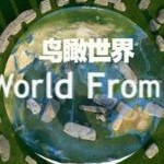 C1569-1572 BBC 鸟瞰世界 第1-5季 4碟装