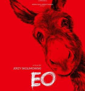 D1481驴叫/如果驴知道 高清版 2022 豆瓣评分7.1分，提名戛纳影展金棕榈奖并荣获评审团大奖