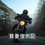 D1490-1491亡者之妻 第1季 2碟装  2023