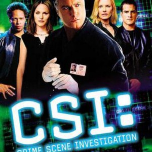 D1560-1589犯罪现场调查 第1-15季 30碟 完整版