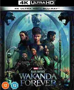 A17-51 4K-UHD 黑豹2 Black Panther: Wakanda Forever (2022) 全景声