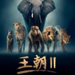H1131-1132 BD50 王朝 第二季 2碟 Dynasties Season 2 (2022)