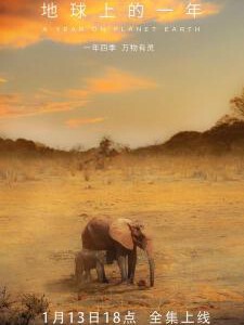 D1089-1090地球上的一年 2碟装  2022 全新视角野生动物大型纪录片