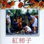 D1104红柿子 高清版 1997 王童自导自演经典台湾片，豆瓣评分高达8.9