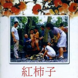 D1104红柿子 高清版 1997 王童自导自演经典台湾片，豆瓣评分高达8.9