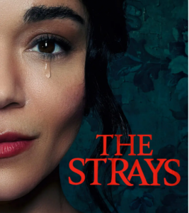 D1216流浪者 2022 网飞出品2023最新惊悚大作