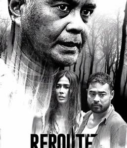 D1226变更旅程 高清版 2022 菲色系惊悚佳作