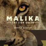 D1233狮子王后玛莉卡 2021 FOX上映经典纪录片