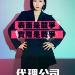 D1268-1270代理公司 3碟装 2023现代职场剧集