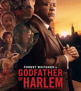 E1113-1114哈林教父 第3季 2碟装 2023