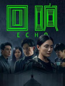 E1117-1118回响 2碟装 高清版 2023冯小刚导演 犯罪悬疑剧