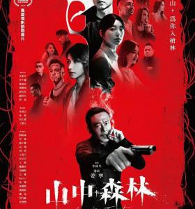 E1138山中森林 高清版 2023年台湾上映的黑帮电影