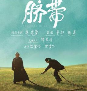 F1008脐带 高清版 2022剧情佳作，豆瓣评分高达7.8