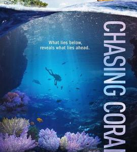 F1063追逐珊瑚 2017豆瓣9.0最佳纪录片之一