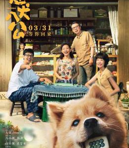 F1140忠犬八公中国版 正式版 豆瓣7.7 2023改编自新藤兼人原著剧本