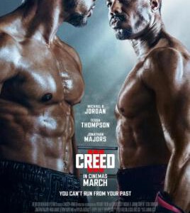 H1164 BD50 奎迪3 2023