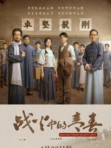 F1216-1218战火中的青春 3碟装 2023