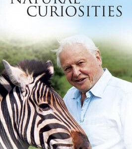 F1249 BBC自然趣闻 第1季 2013 高清版