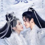 J1039-1041护心 3碟装 2023青春奇幻仙侠剧