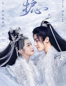 J1039-1041护心 3碟装 2023青春奇幻仙侠剧