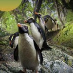 J1155我们的星球 第二季 2023美国Netflix与BBC合作，打造又一部极致记录大片