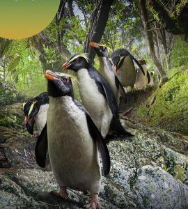 J1155我们的星球 第二季 2023美国Netflix与BBC合作，打造又一部极致记录大片