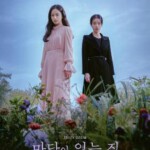 K1082-1083有院子的家 2碟装 2023 金泰希&林智妍主演悬疑惊悚新剧