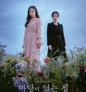 K1082-1083有院子的家 2碟装 2023 金泰希&林智妍主演悬疑惊悚新剧