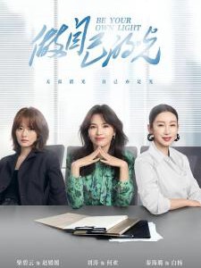 K1176-1179做自己的光 4碟装 2023 全实力派阵容最新女性成长励志剧