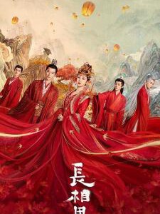 L1047-1050长相思 4碟装 2023年最新高分古装奇幻剧