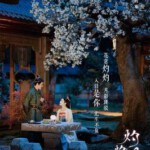 L1244-1247灼灼风流 4碟装 2023年景甜 冯绍峰最新古装励志剧