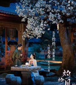 L1244-1247灼灼风流 4碟装 2023年景甜 冯绍峰最新古装励志剧