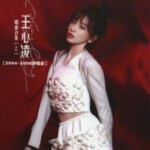 M1099-1101王心凌演唱会合集（上）【2004~2006演唱会】 3碟 高清版