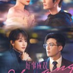 M1190-1193好事成双 高清版 4碟装 2023张小斐、黄晓明2023年央视热播口碑新剧