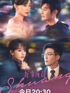 M1190-1193好事成双 高清版 4碟装 2023张小斐、黄晓明2023年央视热播口碑新剧