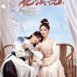 M1195-1197花溪记 3碟装 2023年最新古装甜宠偶像剧