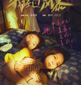 M1262我经过风暴 高清版 2023豆瓣评分7.0分，佟丽娅领衔口碑新片