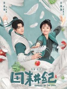 N1021-1023田耕纪 3碟装 2023年最新古装种田轻喜剧