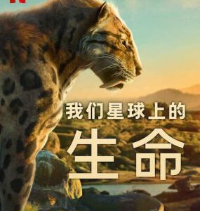 N1026-1027我们星球上的生命 2碟装 2023年网飞美国最新上映纪录片