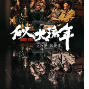 N1231-1233似火流年 3碟装 高清版 2023年最新青春年代剧