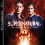 P1015-1018邪恶力量 第5季（2009）4碟 豆瓣8.9