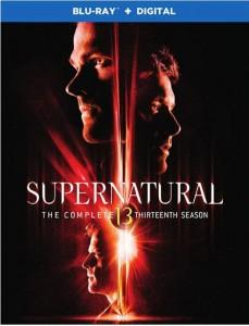 P1027-1030邪恶力量 第13+14季 4碟 高清版