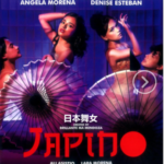 P1196-1197日本舞女 2碟装 高清版 2023菲三精品大作