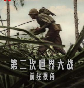 P1206-1207第二次世界大战:前线视角 2碟(2023)高清版