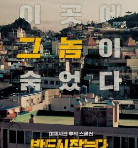 P1243一定要抓住 (2017) 韩国 导演剪辑版 豆瓣6.8